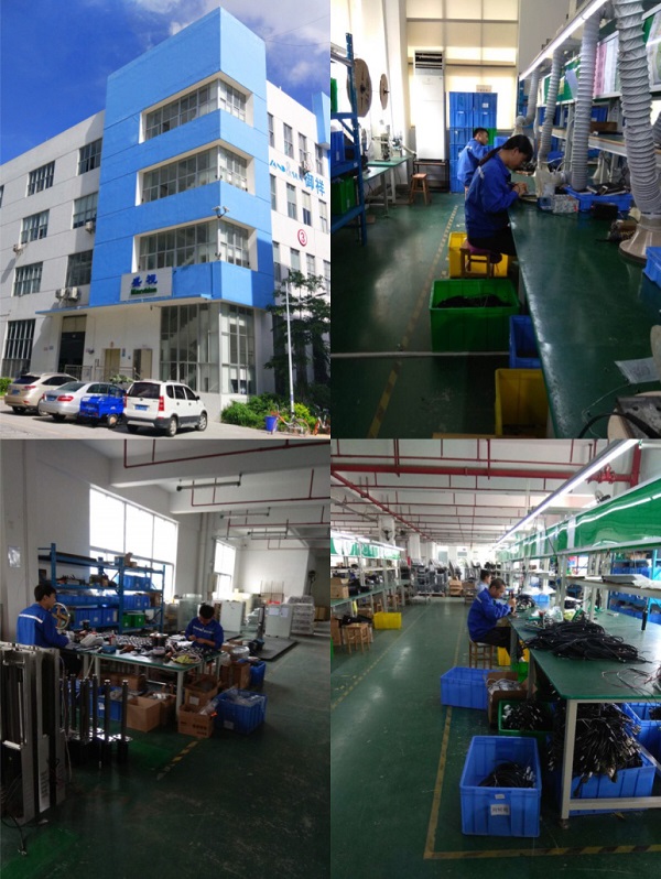 2019大年初一，时博(中国)shibo·官方网页版,保障春节口岸通关工作